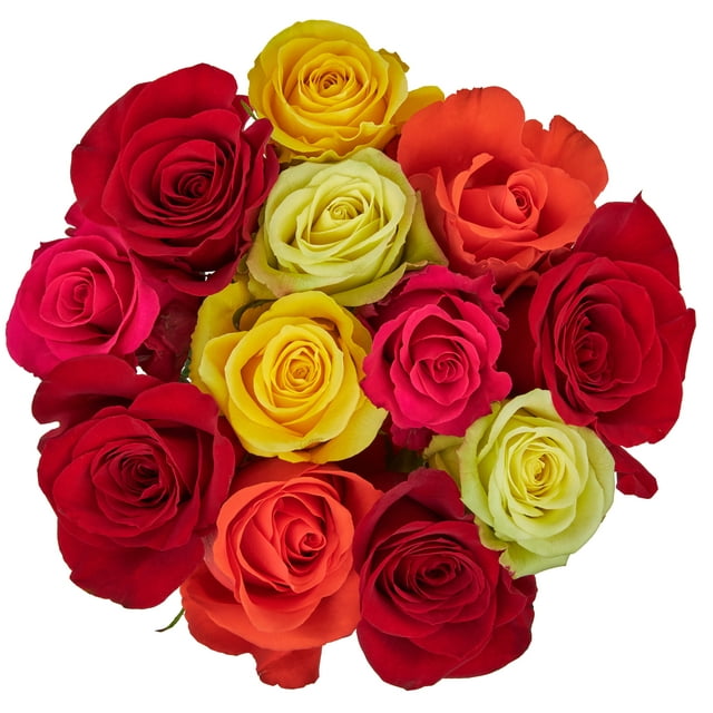 Fresh-Cut Dozen Roses, 12 Stems Assorted Rainbow Colors, Colors Vary