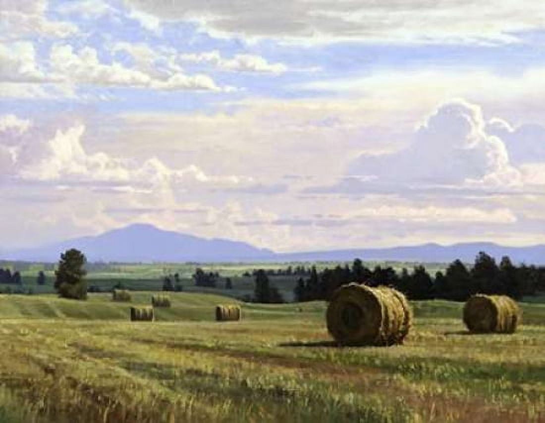 Fresh Cut Hay Canvas Art - Jay Moore (22 x 28)