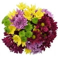 thumbnail image 1 of Rainbow Pom Flower Bunch Large, 1 of 6