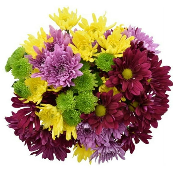 Rainbow Pom Flower Bunch Large