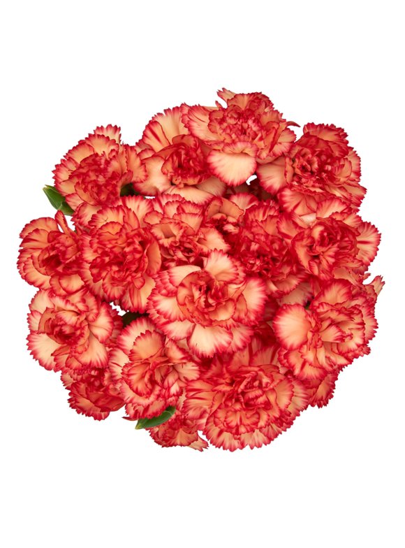 All Flowers in Flower Shop - Walmart.com