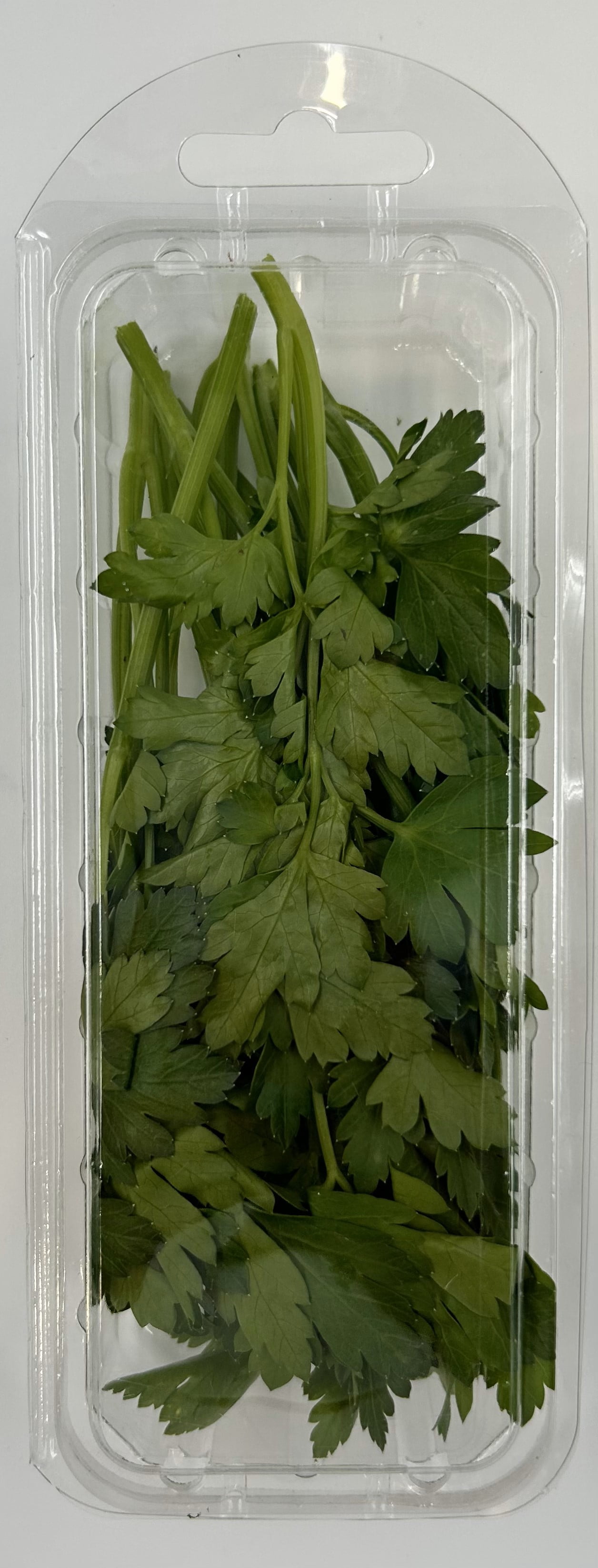 Fresh Cut Parsley