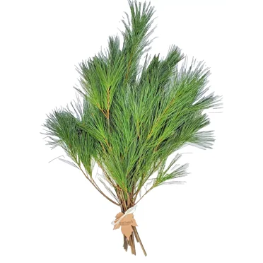 Fresh Cut Pine Boughs For Holiday Arrangements – Pack Of 25 (6-12 Inches Each) – Tin Roof Treasure