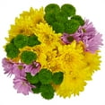 thumbnail image 1 of Rainbow Pom Flower Bunch Small, 1 of 7