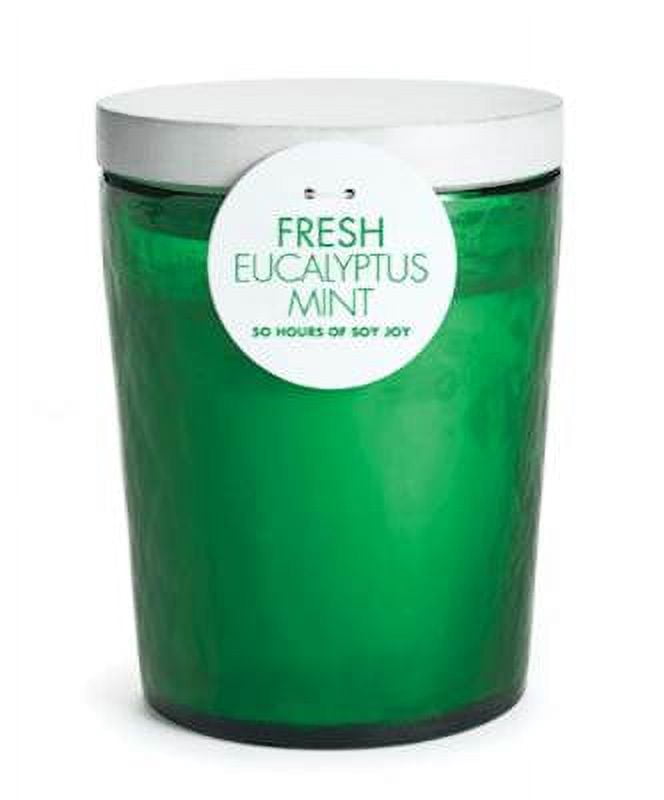 Fresh Eucalyptus Mint Soy Wax Scented Jar Candle by Napa Home - Walmart.com