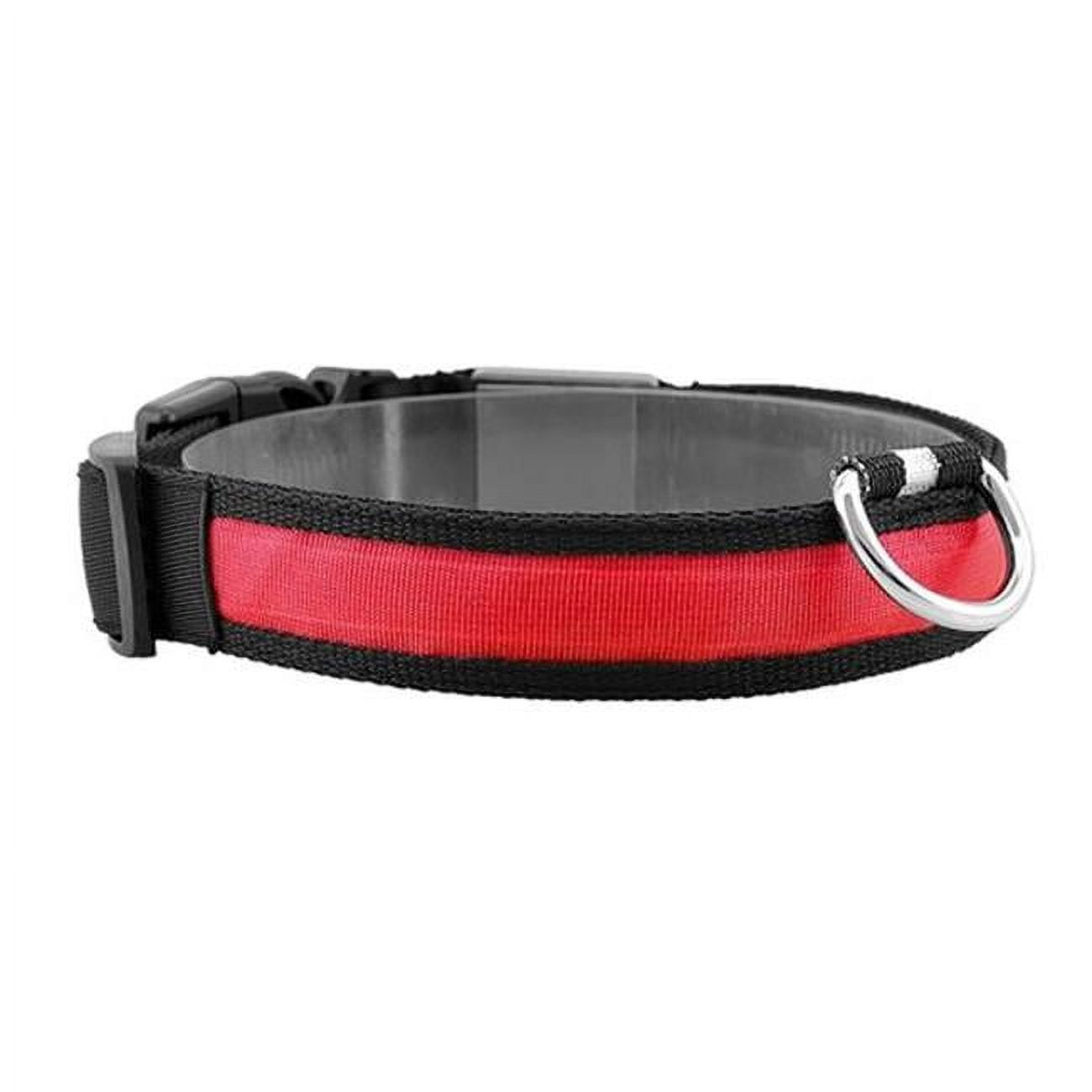 Fresh Fab Finds FFF-L-Red-GPCT3892 LED USB Rechargeable Adjustable Dog ...