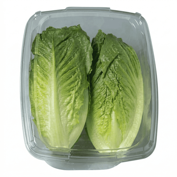 Fresh Whole Roma Crunch Lettuce, 12 Oz Clamshell - Walmart.com