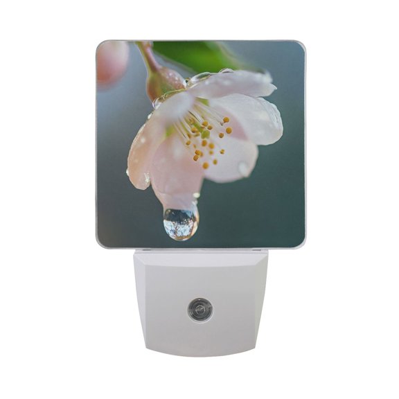Fresh Flower with Dew LED Night Light with Smart Sensor Plug Into Wall Dusk to Dawn 2 packs