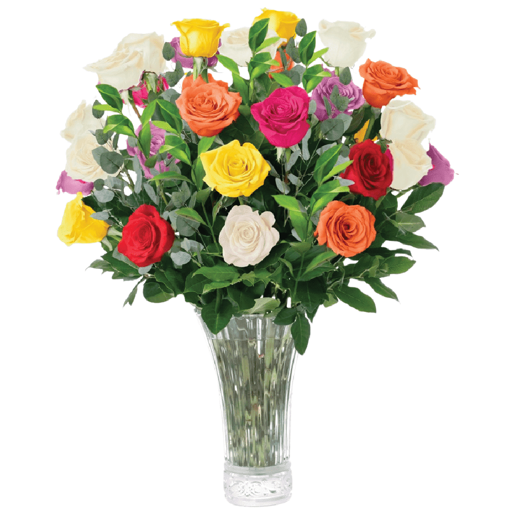 Fresh Flowers Delivery - 2 Dozen Roses for Delivery, Farmhouse Flowers for Delivery - Assorted Fresh Cut Long Stem Roses Bouquet of Flowers Birthday Gifts for Women - Aquarossa Farms