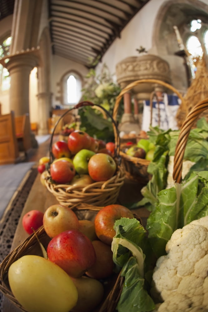 Fresh Food On Display On A Table For Harvest Festival Kelso Scottish Borders Scotland Canvas Art - John Short Design Pics (12 x 19)