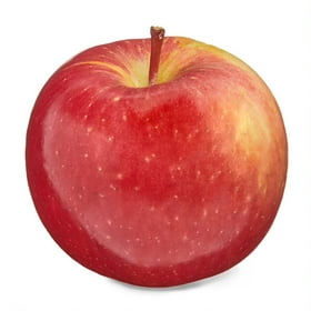 Kroger® Fuji Apples BIG Deal! - 5 Pound Bag, Bag/ 5 Pounds - Kroger