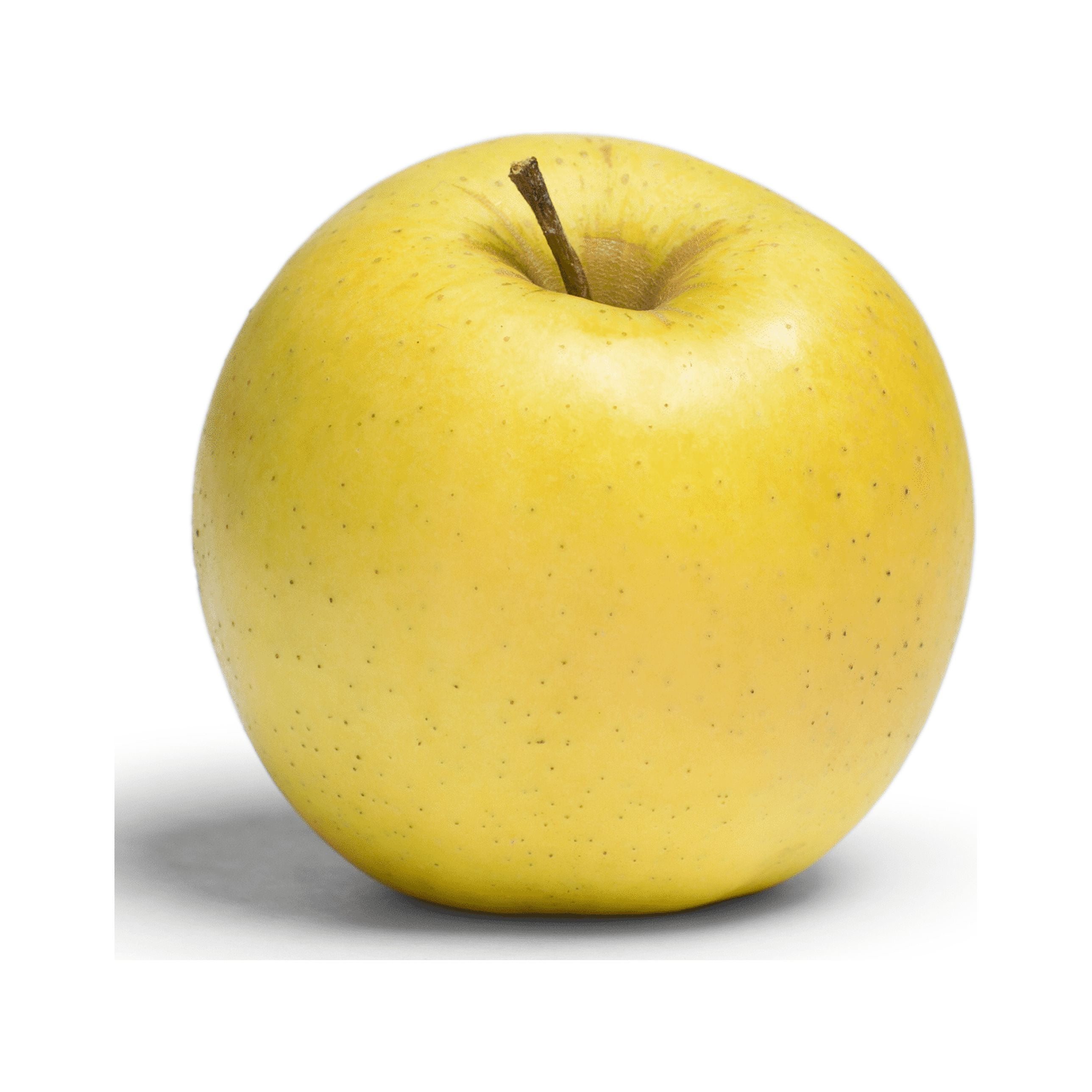 Fresh Ginger Gold Apples, 5 lb Bag