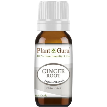 Fresh Ginger (Root) Essential Oil 10 ml 100% Pure Undiluted Therapeutic Grade For Skin, Body and Hair Growth. Perfect for DYI Soap Making and Aromatherapy Diffuser.