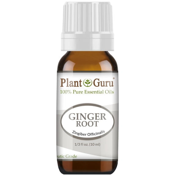 Fresh Ginger (Root) Essential Oil 10 ml 100% Pure Undiluted Therapeutic Grade For Skin, Body and Hair Growth. Perfect for DYI Soap Making and Aromatherapy Diffuser.