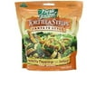 thumbnail image 1 of Fresh Gourmet Tortilla Strips Santa Fe (Pack of 12), 1 of 1