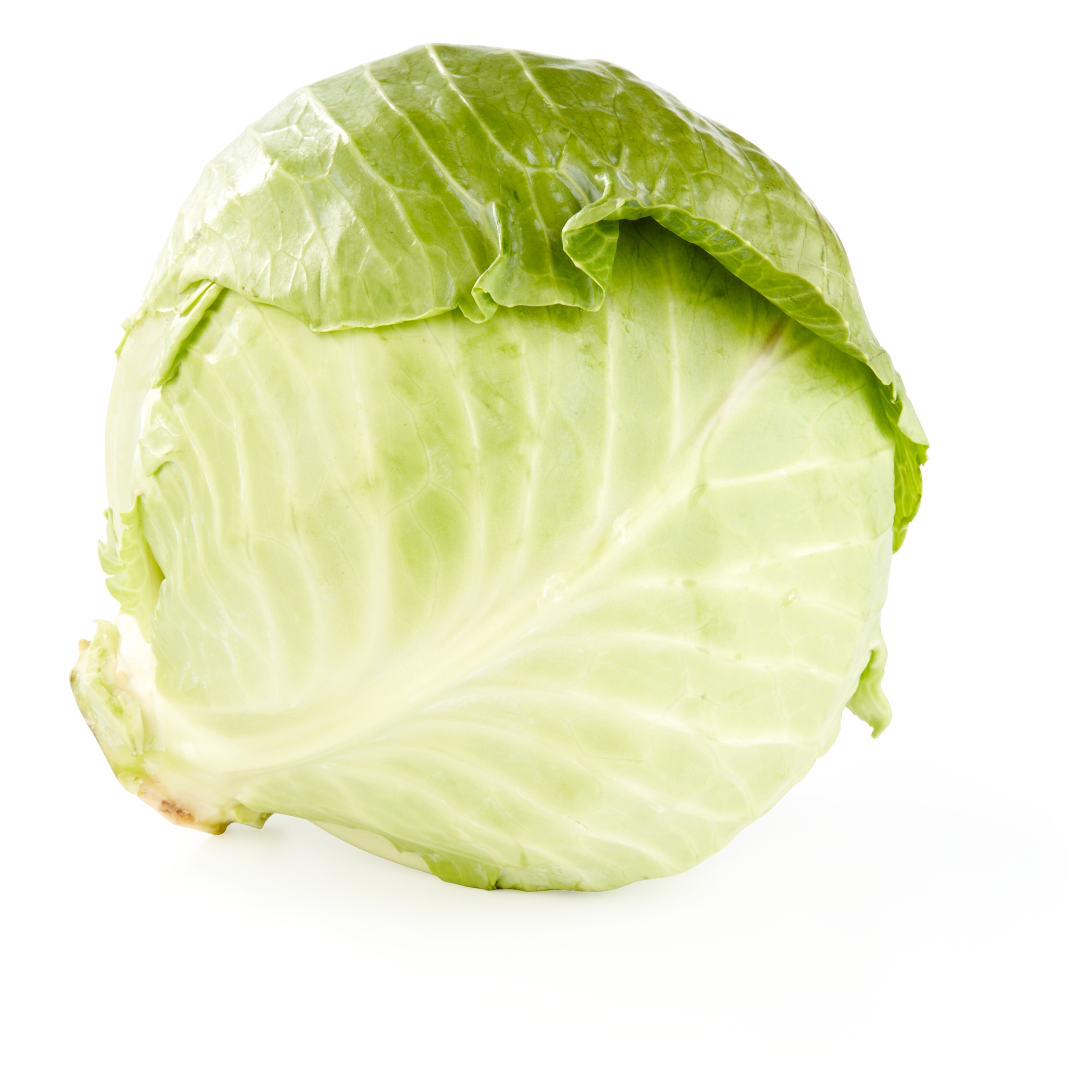 Fresh Green Cabbage, Each - image 1 of 3