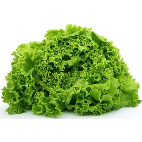 Fresh Green Leaf Lettuce, Each