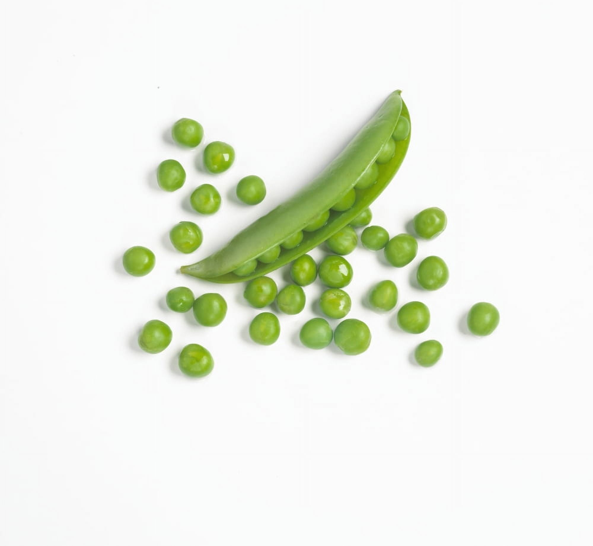 Fresh Green Peas From The Pod Canvas Art - Bruno Crescia Design Pics (32 x 28)
