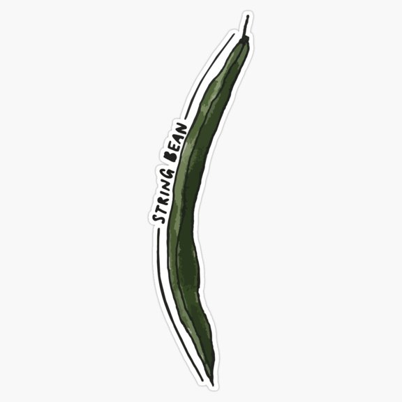 Fresh Green String Bean Long Sliced Legume Pod Agriculture Garden Vegetable Decal For Gym Shaker Sticker