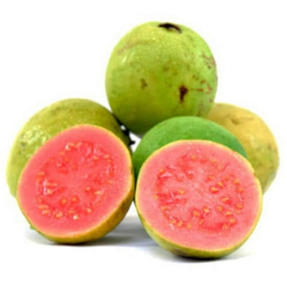 Fresh Guava, Each