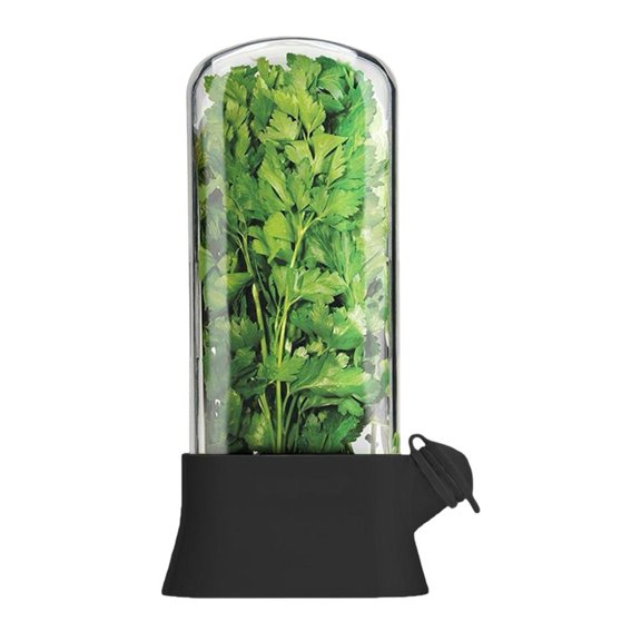 Blarkrus Herb Storage Container with Tight Seal, 10.5x5 inch, Prevents Moisture and Contamination, Ideal for Keeping Kitchen Herbs Fresh and Organized