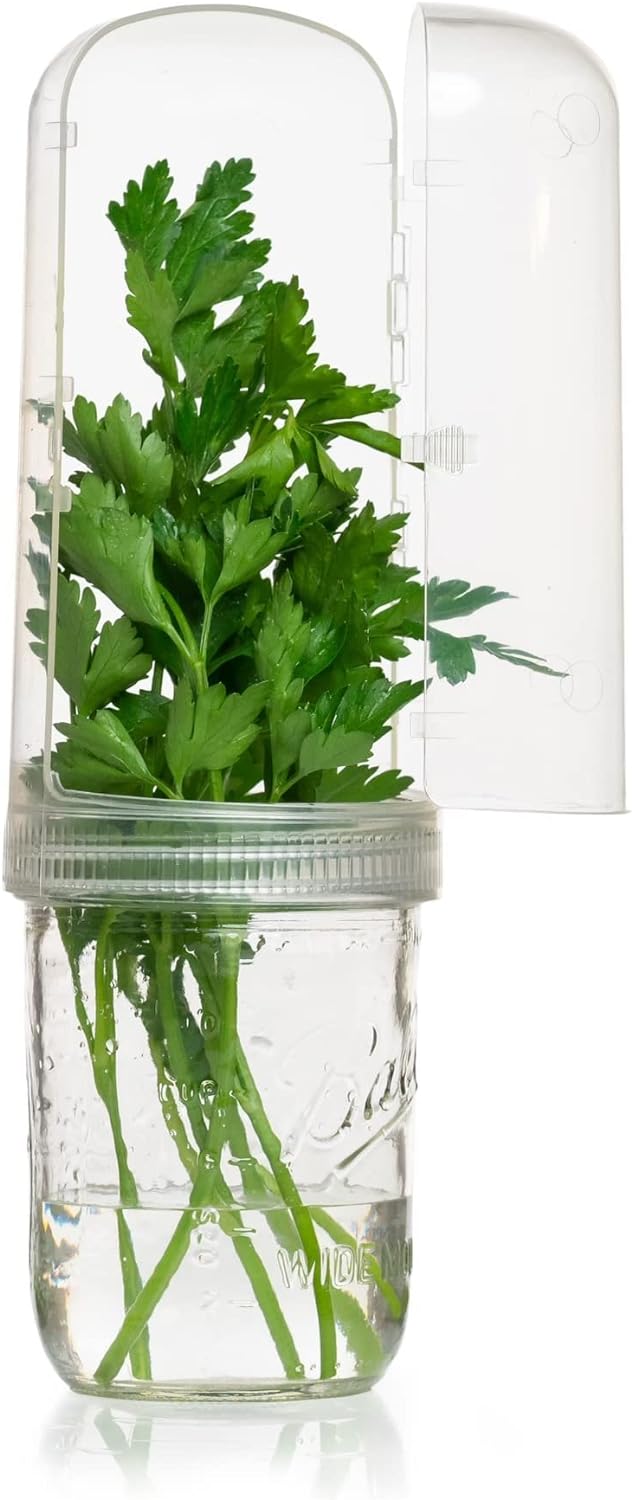 Fresh Herb Keeper for Fridge BPA Free Extended Storage Container Clear
