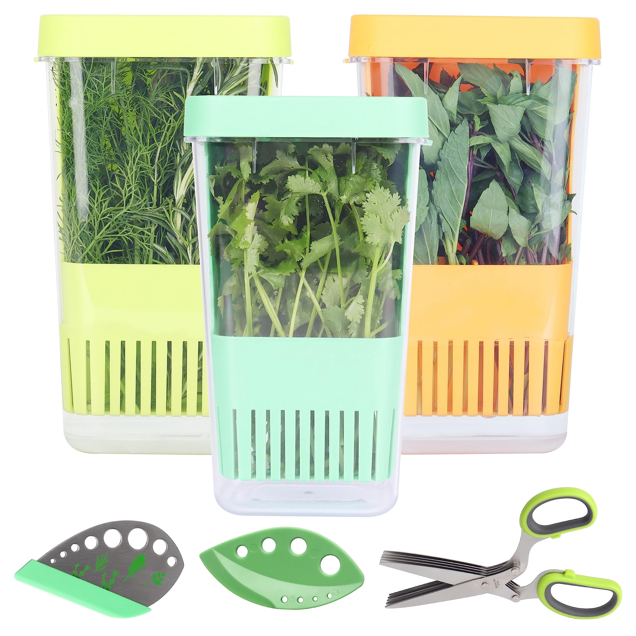 Coluntro Fresh Herb Keeper for Refrigerator, Clear BPA-Free Herb Saver, Storage ...