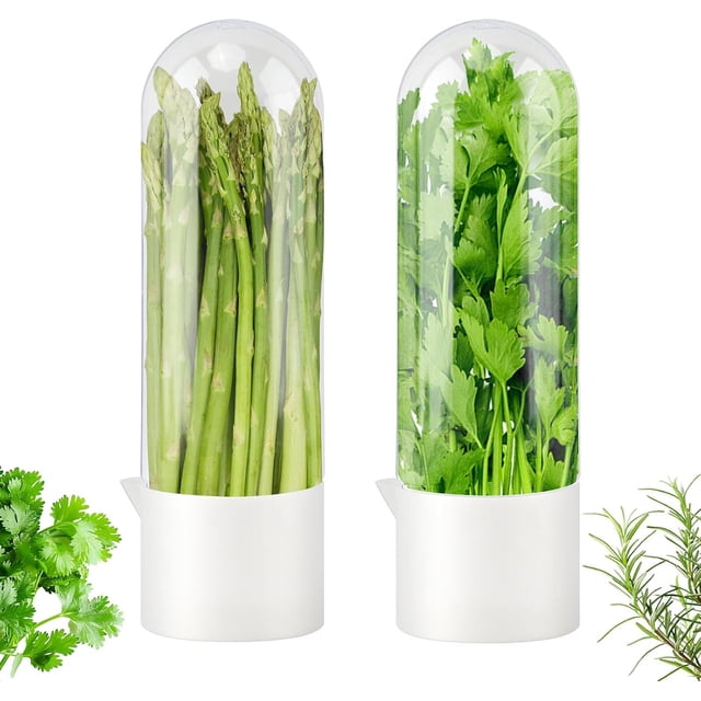 Coluntro Fresh Herb Saver Cilantro Storage Containers for Refrigerator ...