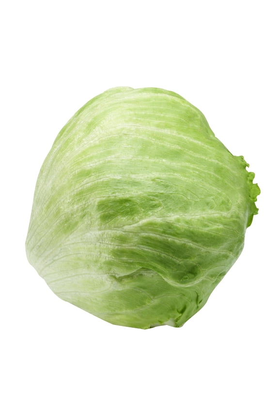 Fresh Iceberg Lettuce, Each