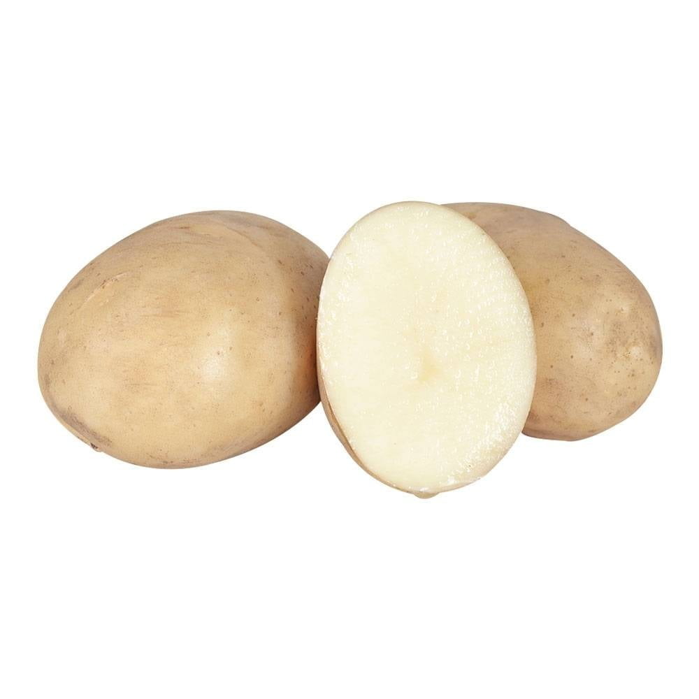 Fresh Klondike Potatoes, Each