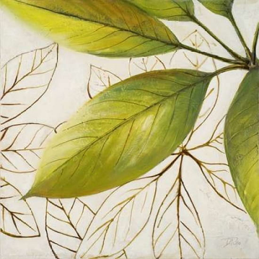 Fresh Leaves I Canvas Art - Patricia Pinto (24 x 24)