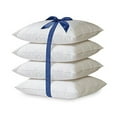 thumbnail image 1 of Fresh Linen 2-Pack Hypoallergenic Down-Alternative, Throw Pillow Inserts (20" x 20"), 1 of 1