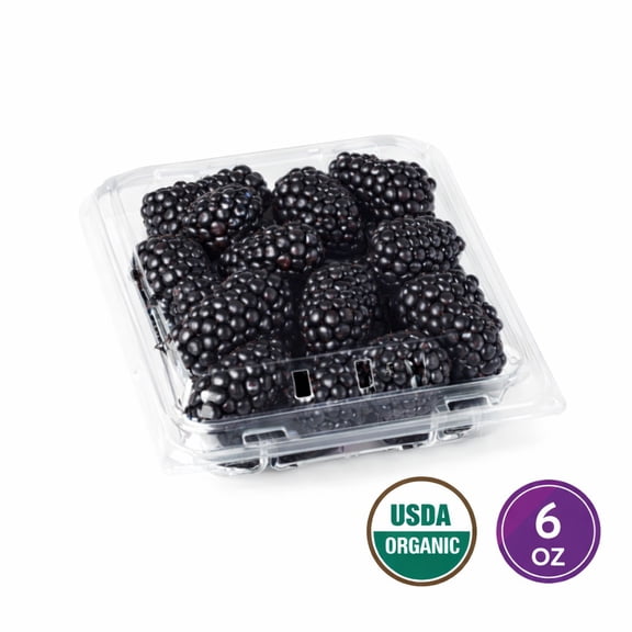 Fresh Organic Blackberries, 6 oz Container