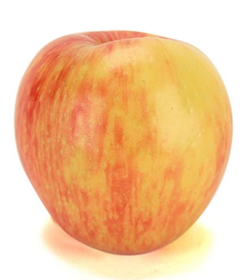 Fresh Organic Honeycrisp Apples, Each
