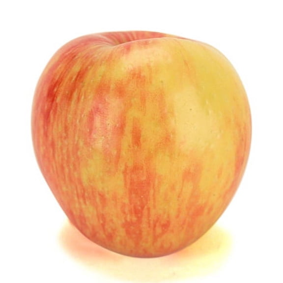 Fresh Organic Honeycrisp Apples - Sweet and Tart Flavor, Each