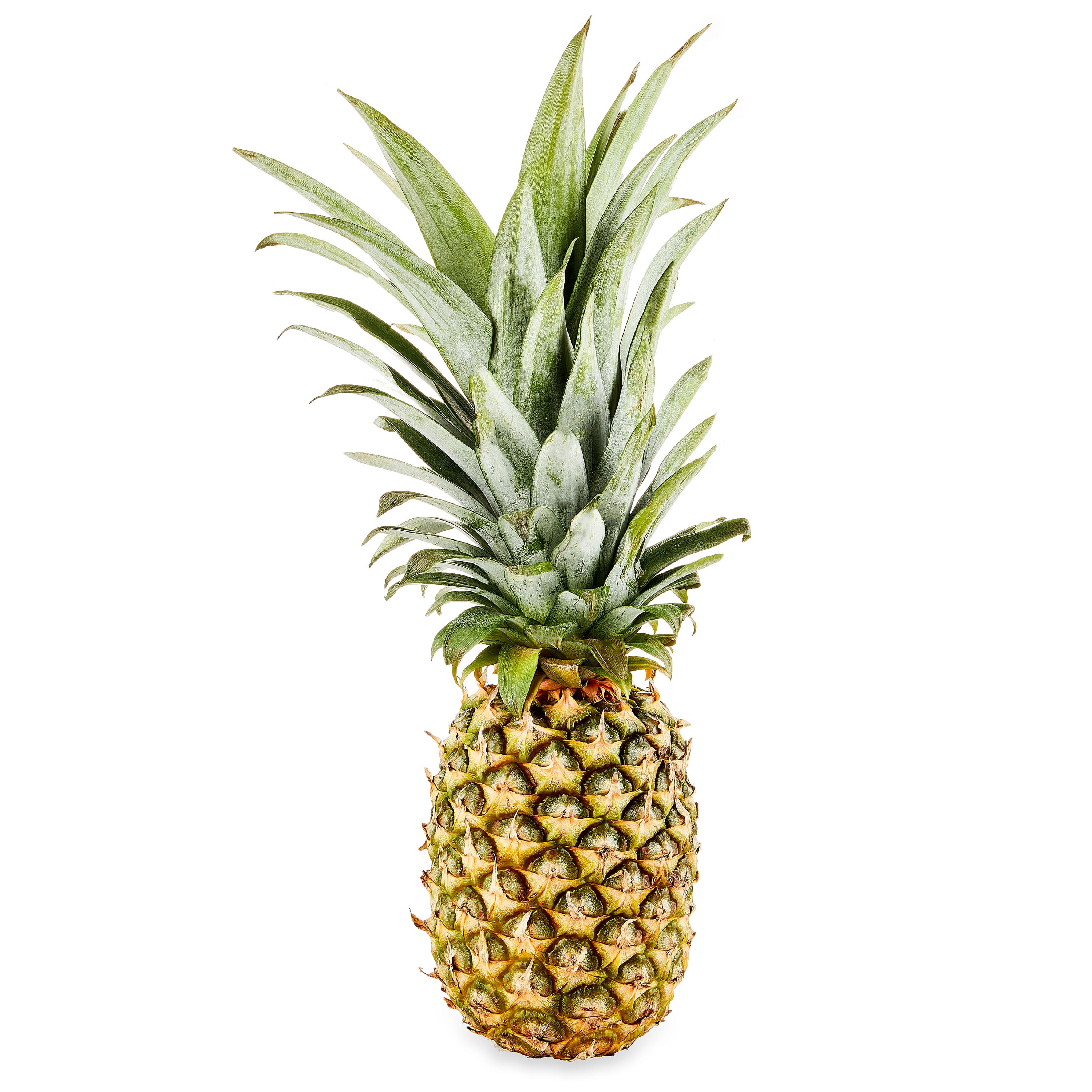 Fresh Organic Pineapple - Walmart.com