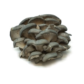 Oyester Mushrooms, 3.2 oz