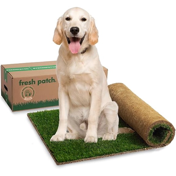Fresh Patch XL Disposable Real Grass Dog Potty Mat 24"x48", Natural Grass Pee Pad for Large Pets Over 30 Lbs, Apartment Indoor Dog Toilet