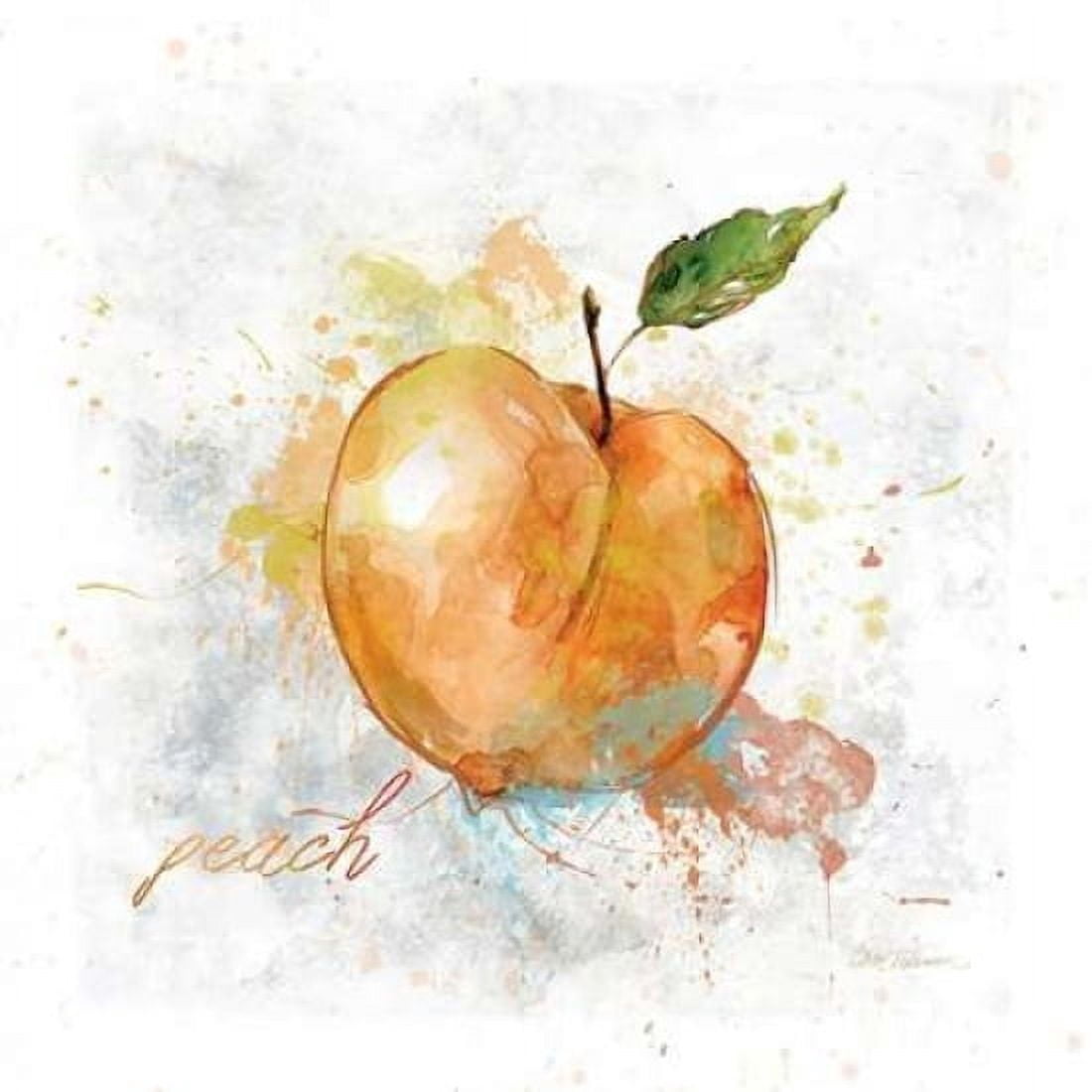 Fresh Peach Canvas Art - Carol Robinson (24 x 24)