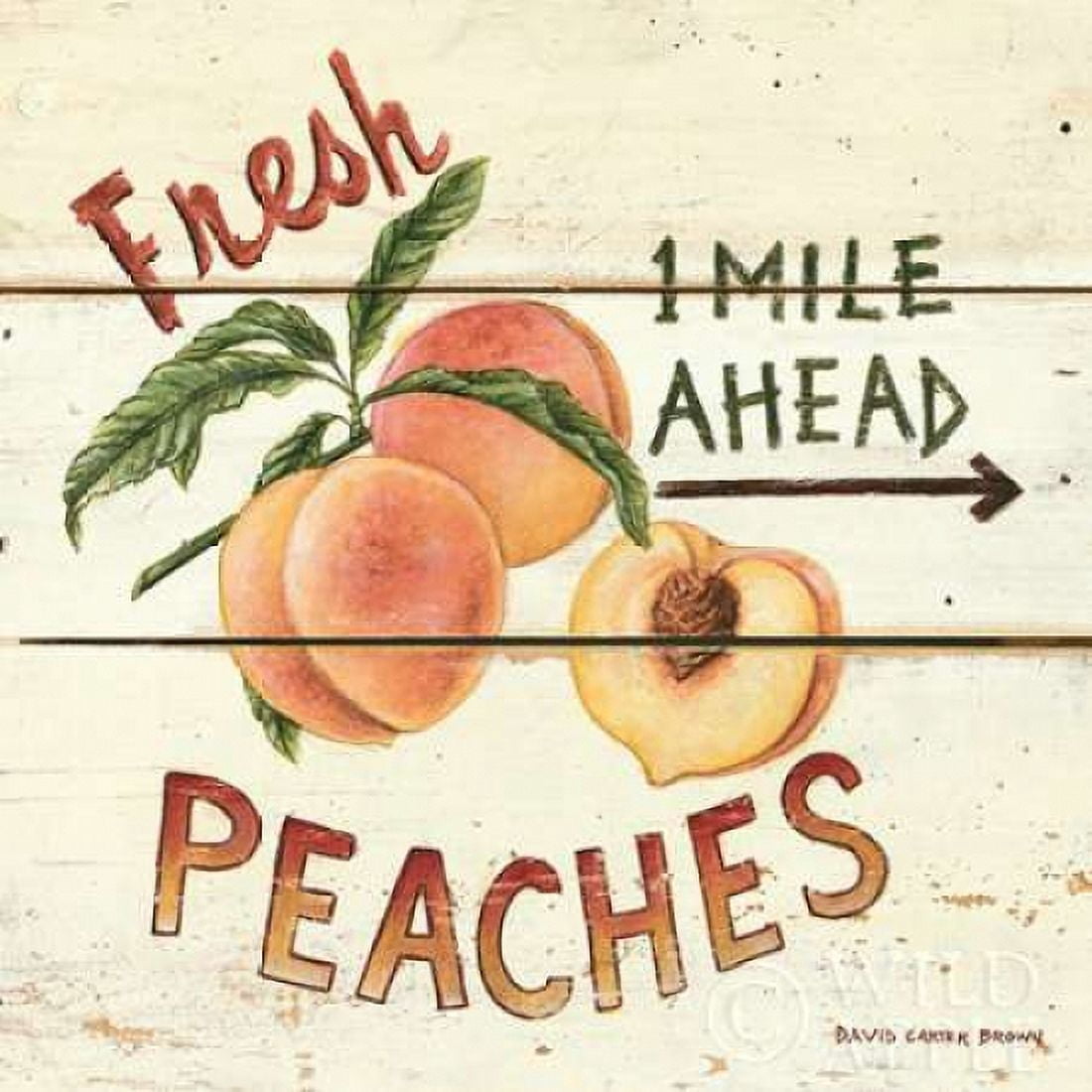 Fresh Peaches Canvas Art - David Carter Brown (24 x 24)