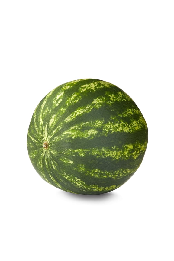 Fresh Personal Seedless Watermelon, Each