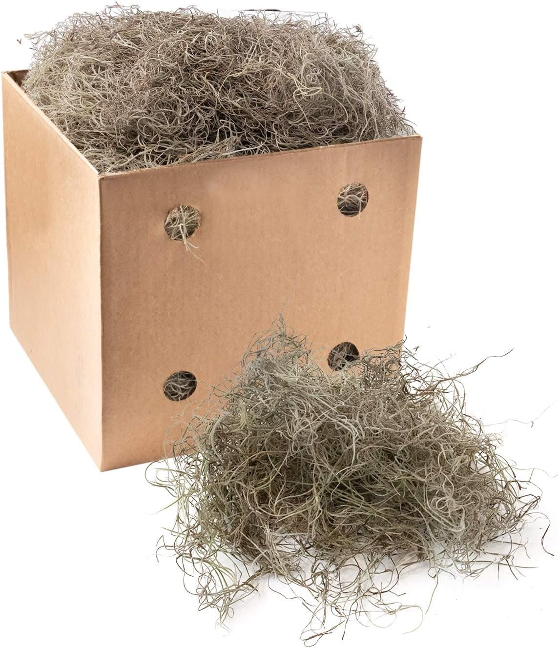 Fresh Preserved Spanish Moss, Premium Shredded Moss Chunks for Floral