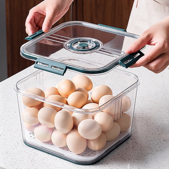 Fresh Produce and Freshness Storage Containers for Vegetables and Fruits with Fridge Organizers and Recording Capability,One Size,Green