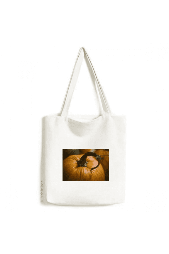 Fresh Pumpkin Picture Nature Photograph Tote Canvas Bag Shopping Satchel Casual Handbag