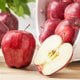 Fresh Red Apple - Each, Plant Variety Included