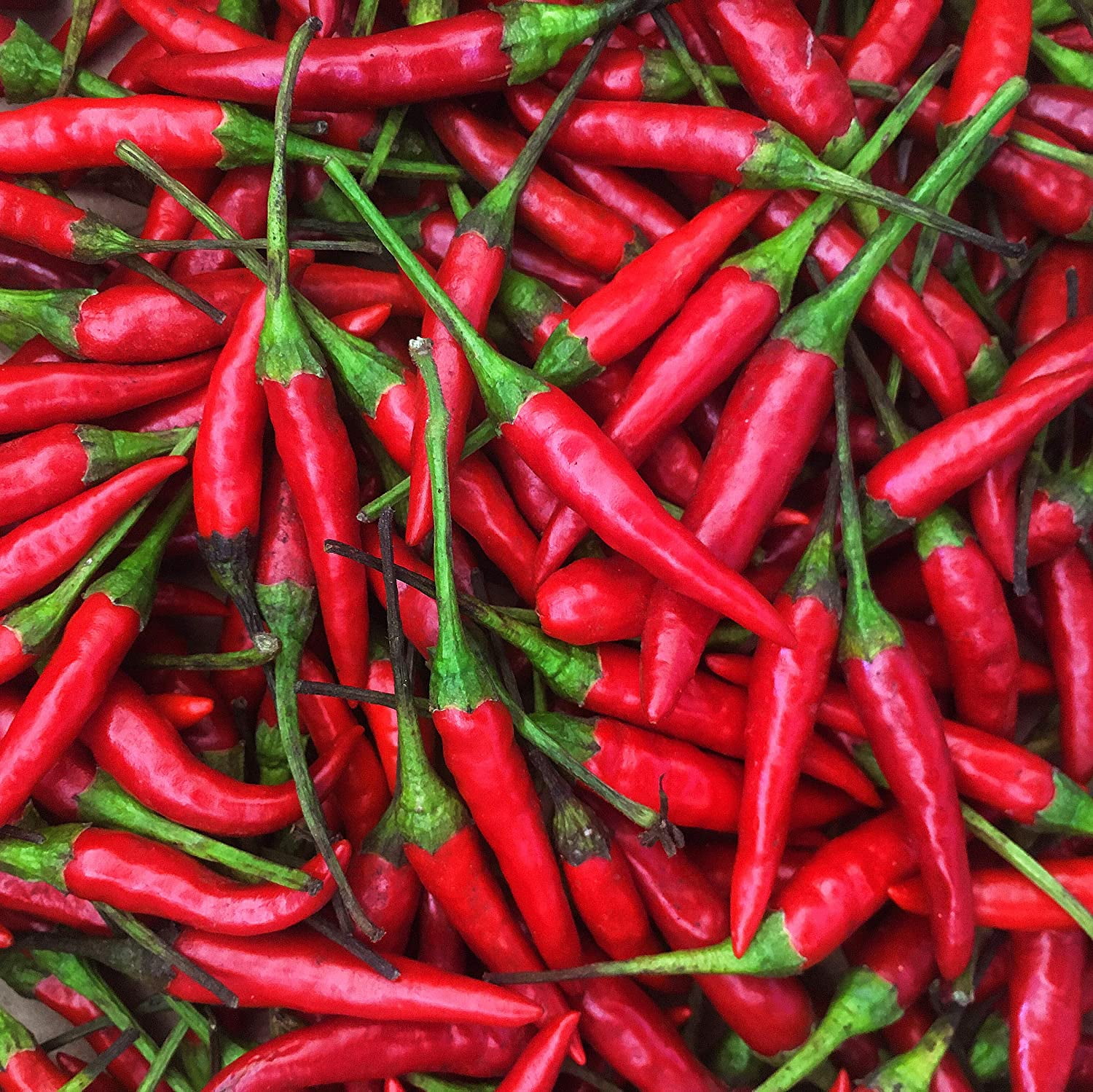 Fresno Red Peppers