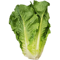 Fresh Romaine Lettuce, Each