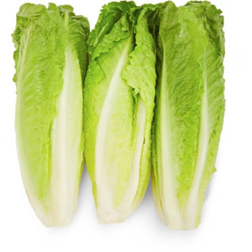 Fresh Romaine Lettuce Hearts 3 Count, Each - image 1 of 2