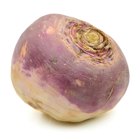 Fresh Rutabagas, Each