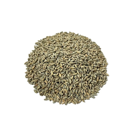 Rye Berries Bulk